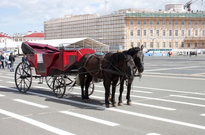 Чем может порадовать Санкт-Петербург юных туристов? Как составить экскурсию для детей?