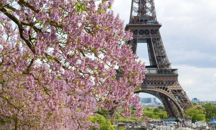 Фото Парижа в марте